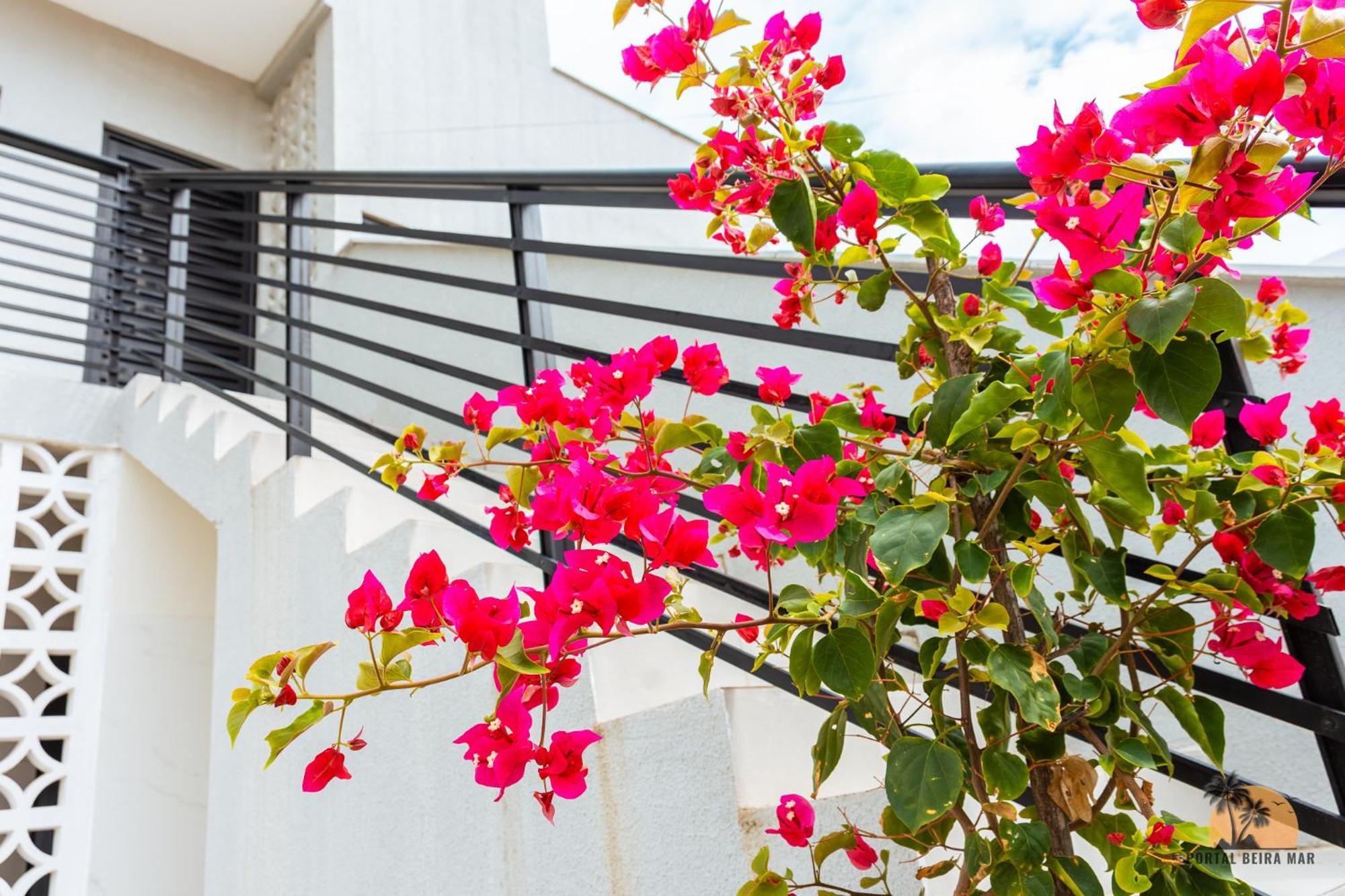 TamandaréPortal Beira Marアパートメント エクステリア 写真